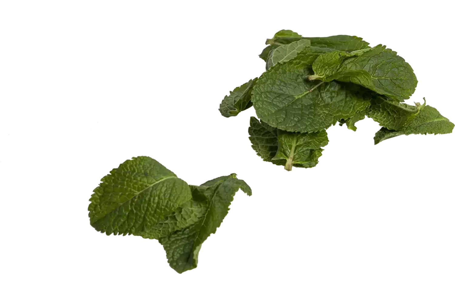 Mint blaadjes bak 250gr stuk 1
